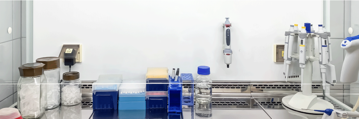 整理されたクリーンベンチのイメージ